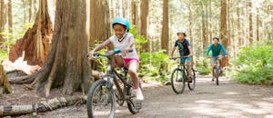Family biking in the woods